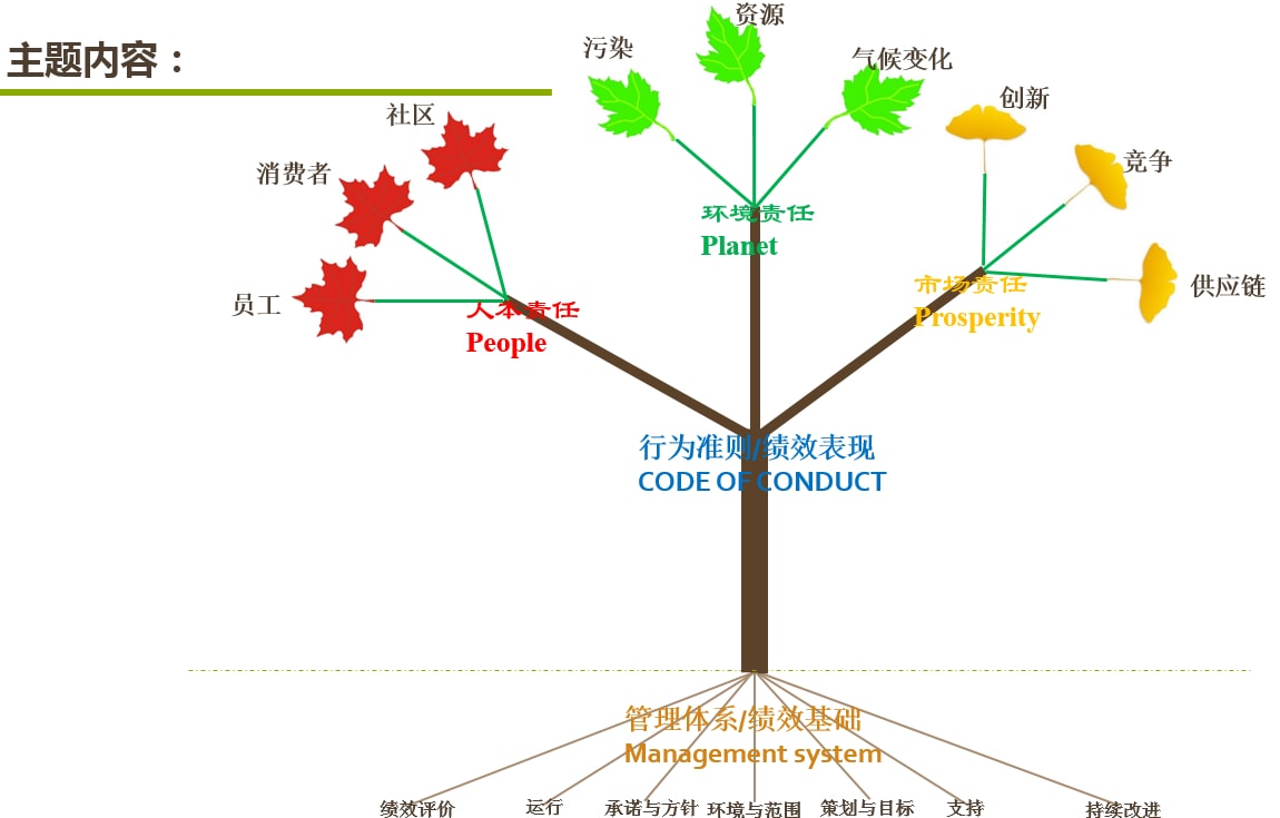 11 准则.jpg